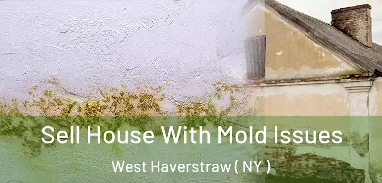  Sell House With Mold Issues West Haverstraw ( NY )