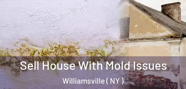 Sell House With Mold Issues Williamsville ( NY )