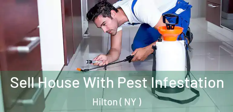  Sell House With Pest Infestation Hilton ( NY )