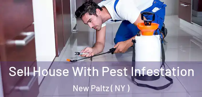  Sell House With Pest Infestation New Paltz ( NY )
