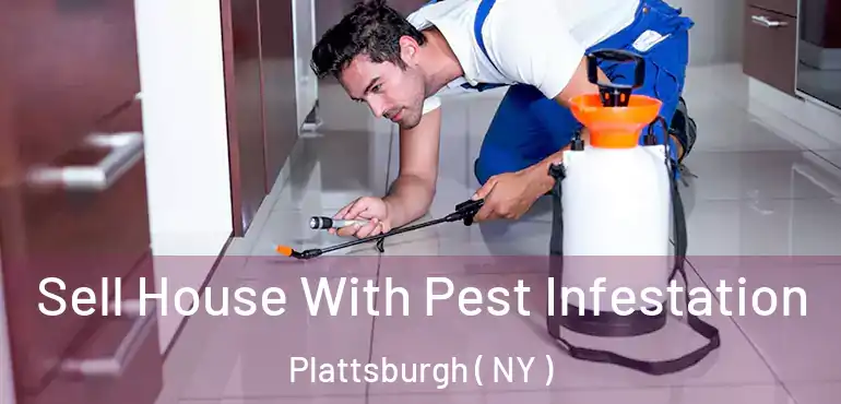  Sell House With Pest Infestation Plattsburgh ( NY )