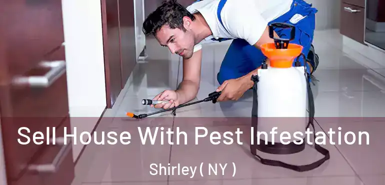  Sell House With Pest Infestation Shirley ( NY )