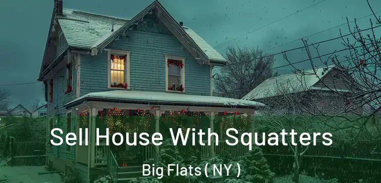  Sell House With Squatters Big Flats ( NY )