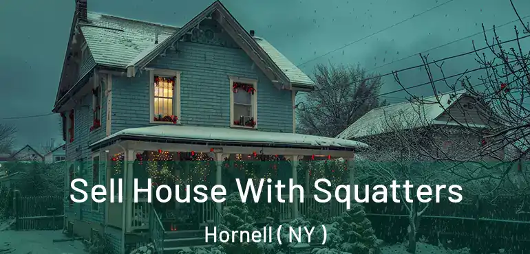  Sell House With Squatters Hornell ( NY )