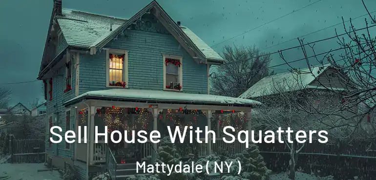  Sell House With Squatters Mattydale ( NY )