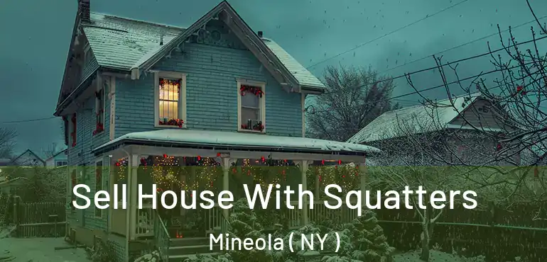  Sell House With Squatters Mineola ( NY )