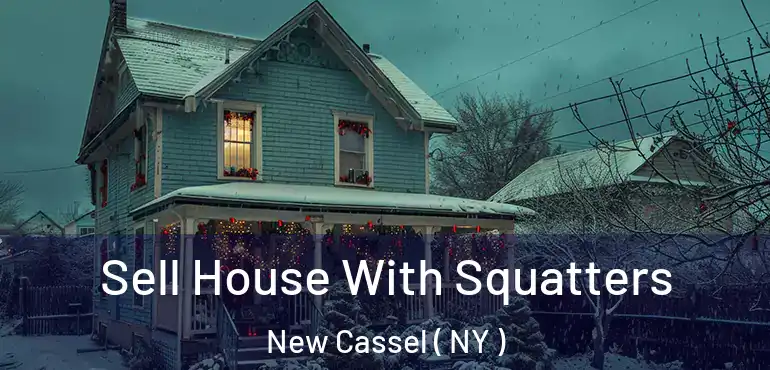  Sell House With Squatters New Cassel ( NY )
