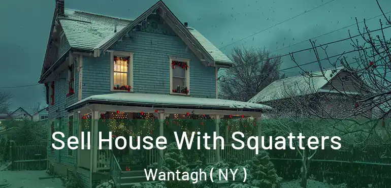  Sell House With Squatters Wantagh ( NY )