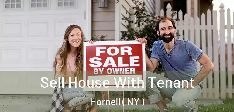  Sell House With Tenant Hornell ( NY )