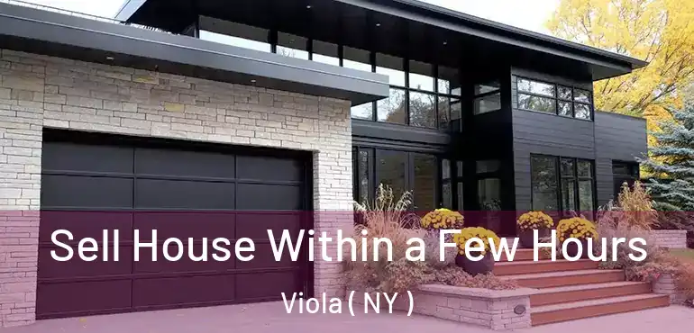  Sell House Within a Few Hours Viola ( NY )