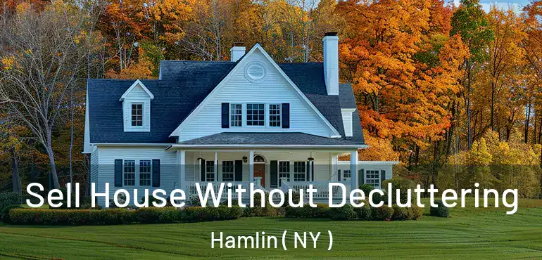  Sell House Without Decluttering Hamlin ( NY )