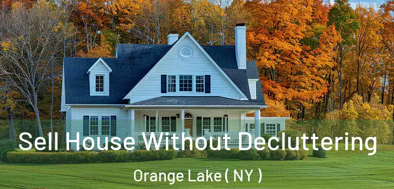  Sell House Without Decluttering Orange Lake ( NY )