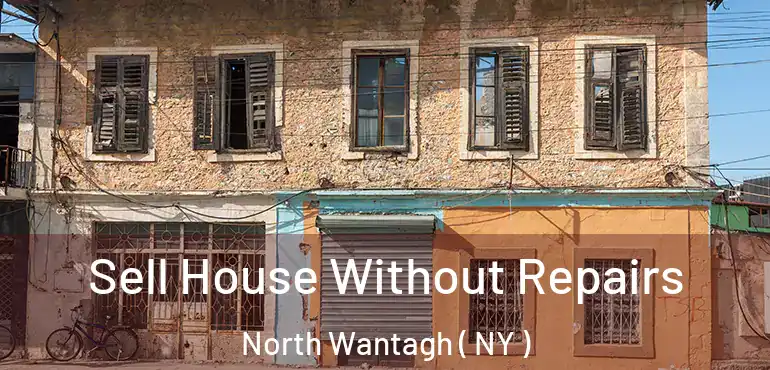  Sell House Without Repairs North Wantagh ( NY )