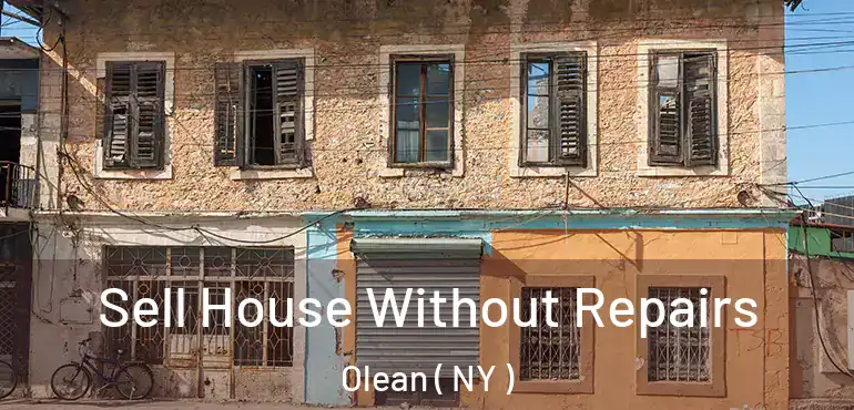  Sell House Without Repairs Olean ( NY )