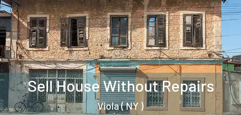  Sell House Without Repairs Viola ( NY )