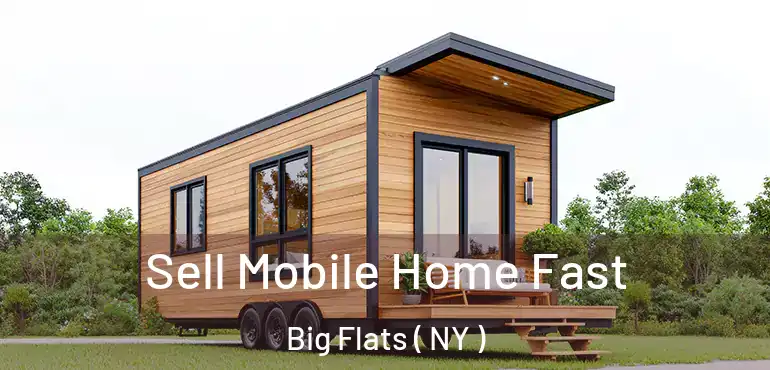  Sell Mobile Home Fast Big Flats ( NY )