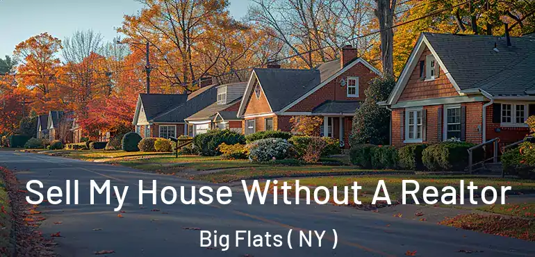  Sell My House Without A Realtor Big Flats ( NY )