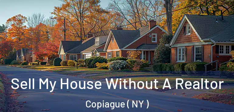  Sell My House Without A Realtor Copiague ( NY )