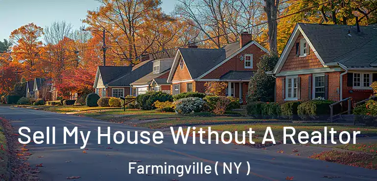  Sell My House Without A Realtor Farmingville ( NY )