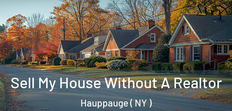  Sell My House Without A Realtor Hauppauge ( NY )