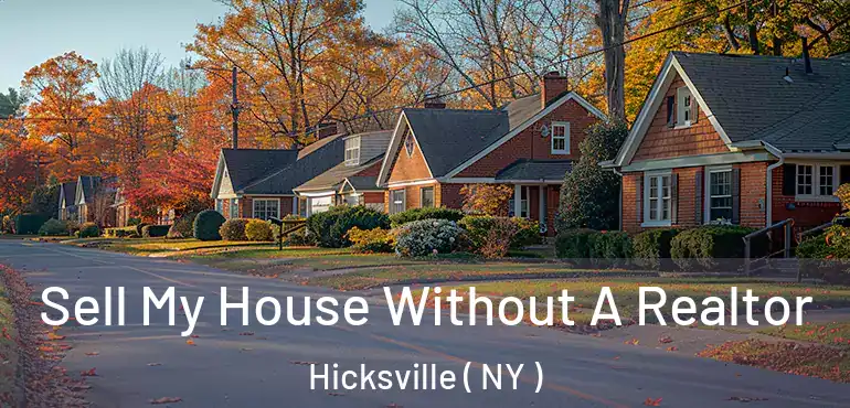  Sell My House Without A Realtor Hicksville ( NY )