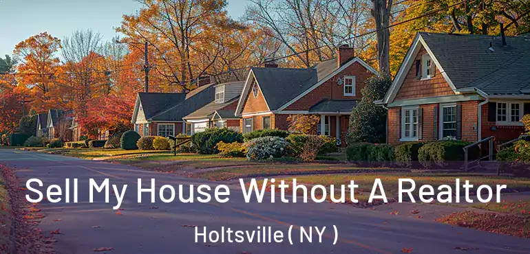  Sell My House Without A Realtor Holtsville ( NY )
