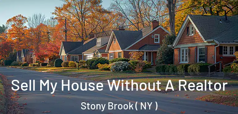  Sell My House Without A Realtor Stony Brook ( NY )