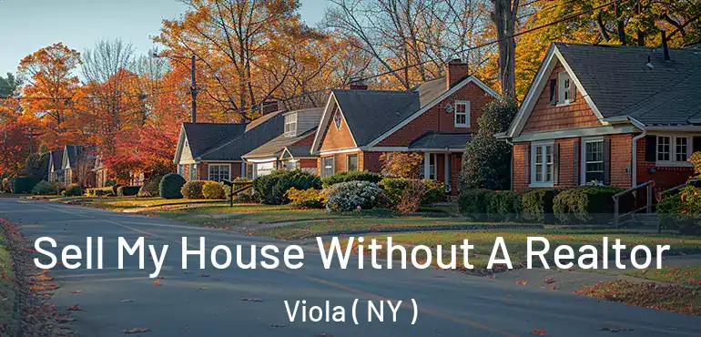  Sell My House Without A Realtor Viola ( NY )