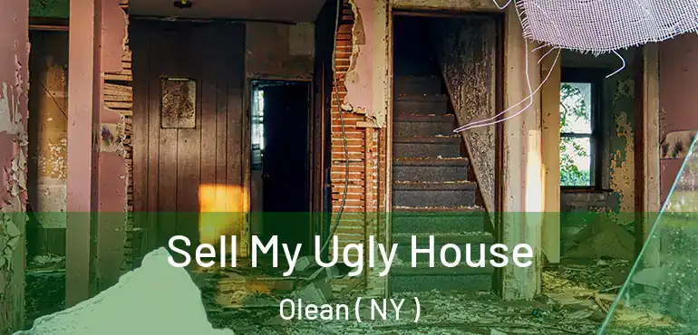  Sell My Ugly House Olean ( NY )