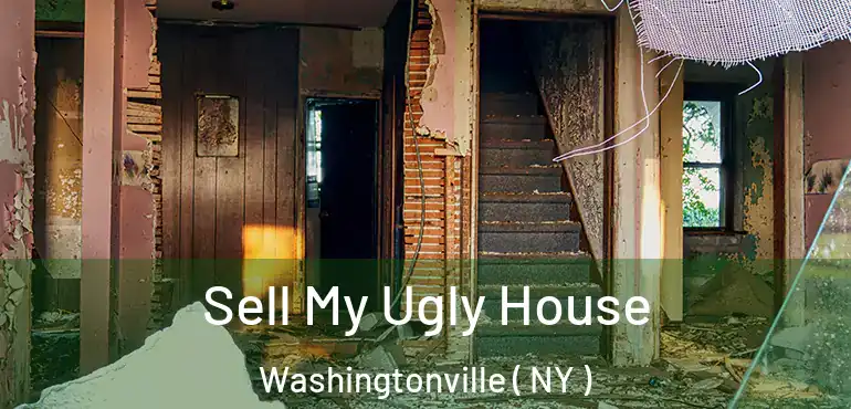  Sell My Ugly House Washingtonville ( NY )